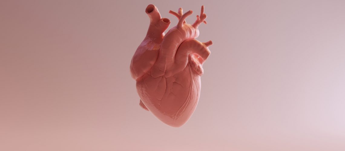 válvula cardíaca